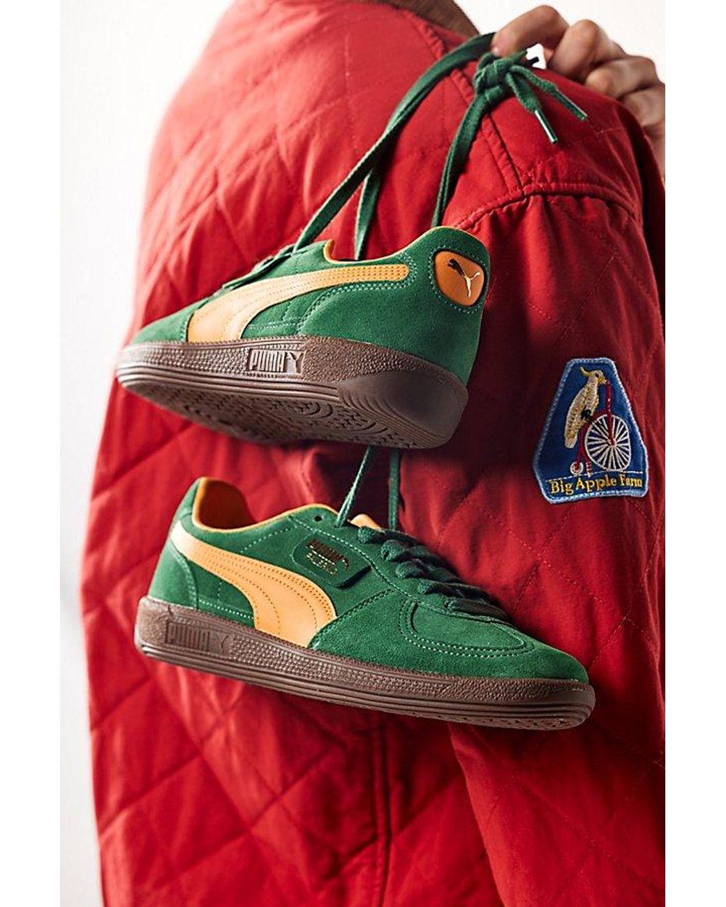 Puma Palermo ๐ง๐ท