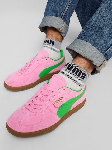 Puma Palermo ๐ธ