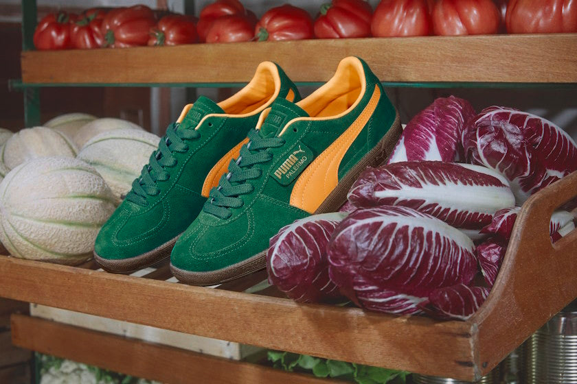 Puma Palermo 🇧🇷