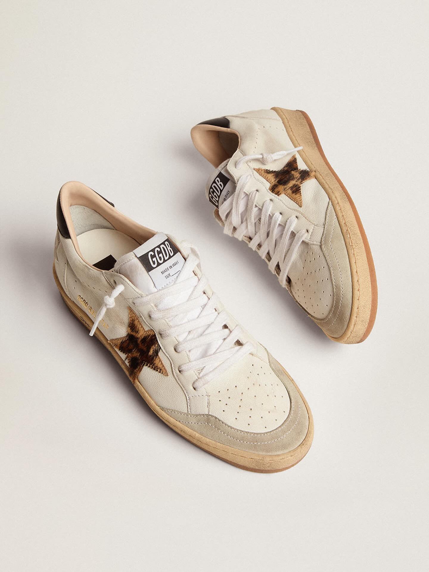 Golden goose