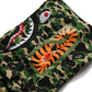 BAPE shark