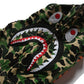BAPE shark